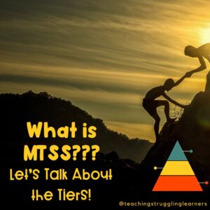 What is MTSS?