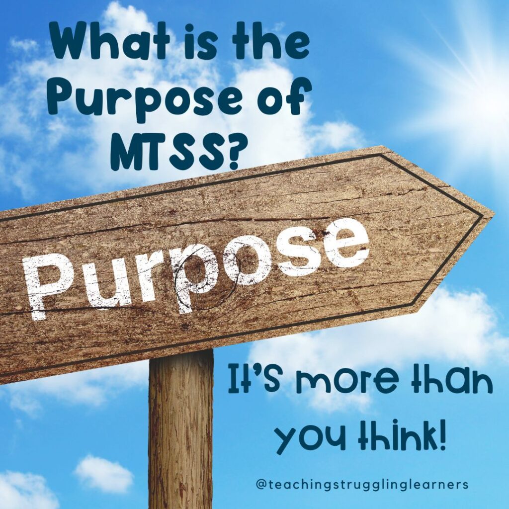 what is the purpose of MTSS?